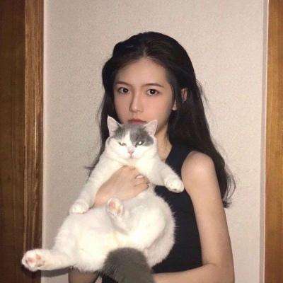 地下城传说破解版下载